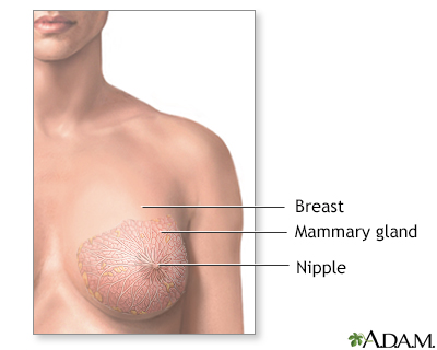 Normal Female Nipples 66